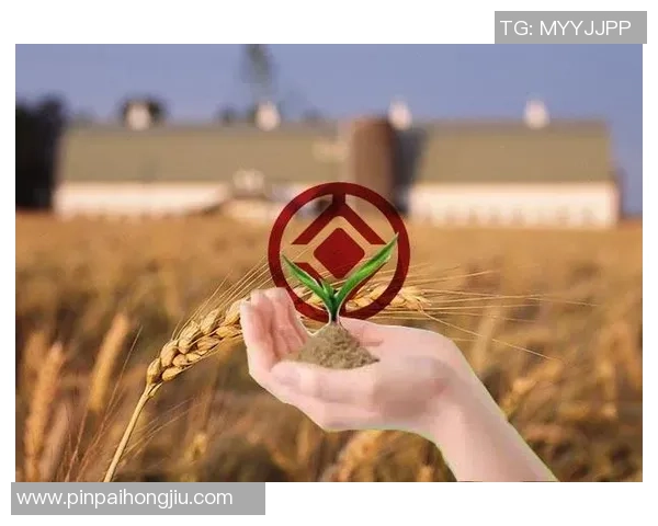 足球明星市场价值评估方法研究与实证分析 足球明星市场价值评估方法研究与实证分析