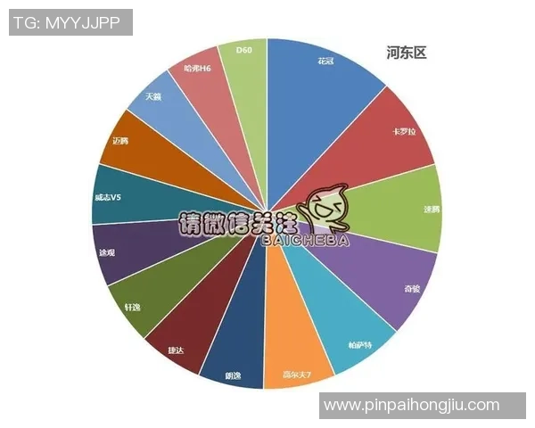 独家分析：杭州攀岩队的团队协作对比