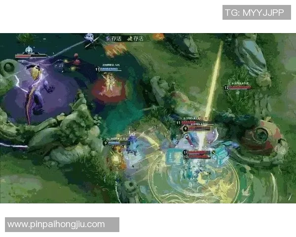 王者荣耀巨献：探秘TES的团队协作