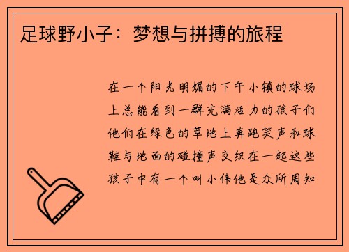 足球野小子：梦想与拼搏的旅程