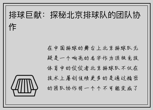排球巨献：探秘北京排球队的团队协作