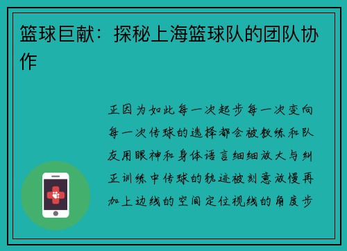 篮球巨献：探秘上海篮球队的团队协作